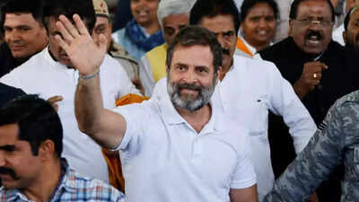 Surat court dismisses Rahul Gandhi's plea for stay on conviction: What next for him