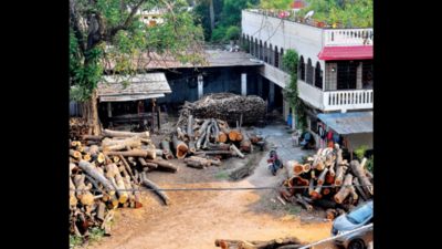 Timber tinderbox: GHMC eviction order to 1,000 depots after Kushaiguda inferno