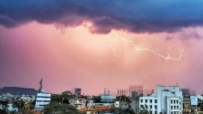 Maharashtra: 2 women, a man & 26 cattle killed by lightning in Marathwada