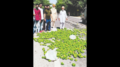After capsicum price crash, Punjab worried about green chilli glut