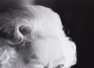 Queen Elizabeth II: What kept her healthy