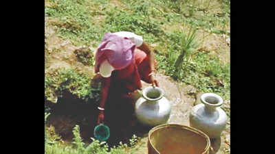 Assam's Dima Hasao district faces severe water crisis as sources dry up