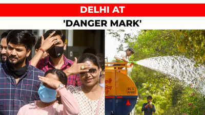 Entire Delhi in 'danger zone' of heatwave impacts: Study
