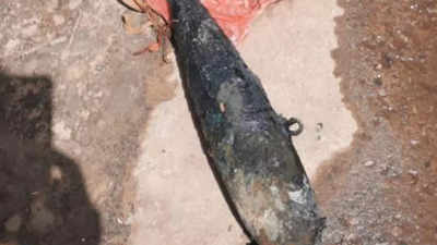 MCD staffers find old mortar shell in drain in Delhi's Kapashera village