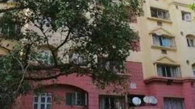 Mumbai: Pup falls down off eighth floor of Powai building; feeders shocked