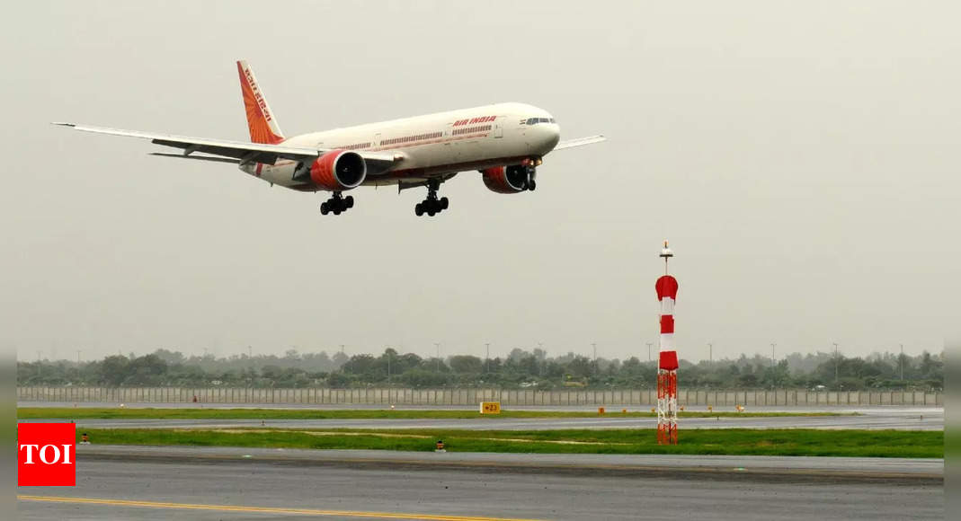 طيار تابع لشركة طيران الهند على الرصيف لحجز شركة في قمرة القيادة على متن رحلة من دبي إلى دلهي  دلهي نيوز