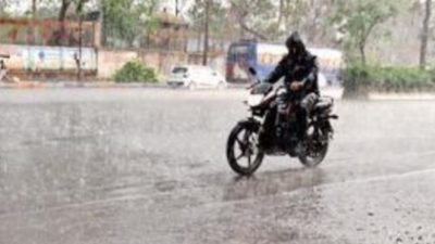 Rain brings relief from summer heat in Chhattisgarh