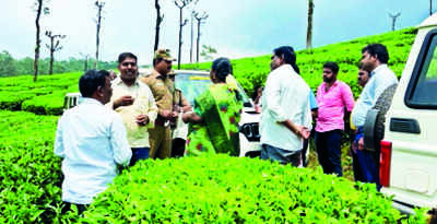 Two workers injured in leopard attacks in Valparai