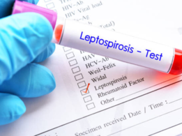 Leptospirosis