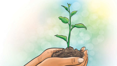 Jaipur airport to plant 7,500 trees in district