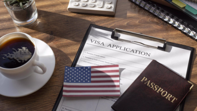 US has set target to issue over 1 million visas to Indians in 2023: Senior US official