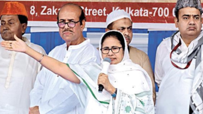 Fight against divisive forces: West Bengal CM Mamata Banerjee's Eid message