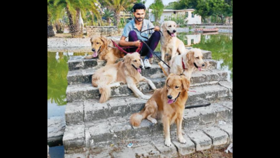 Paw-rents get worry-free vacations thanks to pet hostels in Ahmedabad