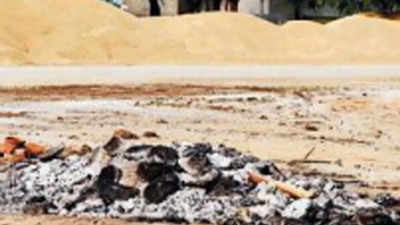 Grain market full, Rohtak village farmers lay down wheat at cremation ground