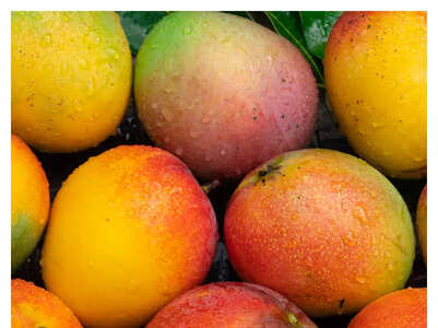 15 unique varieties of mangoes grown in India