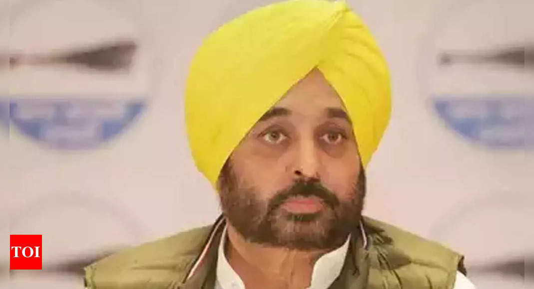 Amritpal:  ‘Those who try to disturb peace, harmony will face action’: Punjab CM Bhagwant Mann on Amritpal’s arrest | India News – Times of India