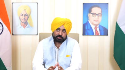 Those who try to disturb peace, harmony will face action: Punjab CM Bhagwant Mann on Amritpal's arrest