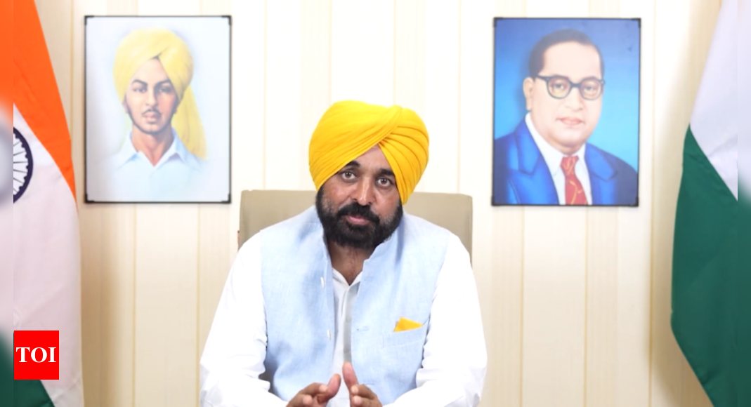 Those who try to disturb peace, harmony will face action: Punjab CM Bhagwant Mann on Amritpal’s arrest | India News – Times of India