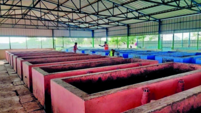 Chennai to handle biodegradable waste better this year; 2,500 tonnes to be processed