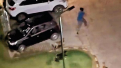 Out to play, boy chased by strays in Greater Noida condo