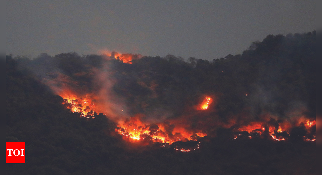 Fire alerts across India down by 15% this year | Dehradun News - Times ...