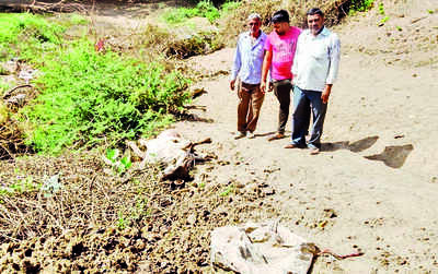 Leopard spotted near Por village