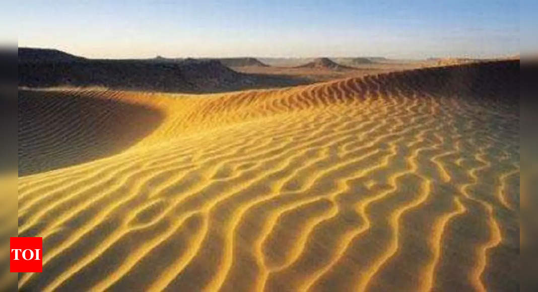 Dubai: Dubai plot of sand sells for  million in luxury island record – Times of India