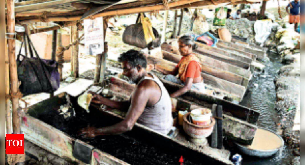 Sifting through sludge for a sprinkle of gold Chennai News Times of