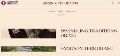 Serendipity Arts Grant 2023 application process opens