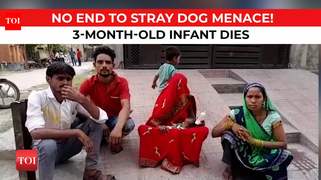Three-month-old mauled to death by stray dogs in Aligarh as family ...