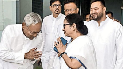 West Bengal CM Mamata Banerjee Talks Opposition Unity With Bihar CM ...