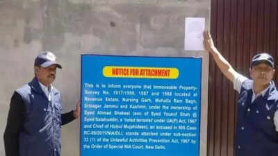 NIA attaches assets of Hizbul chief’s 2 sons under UAPA