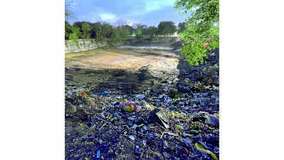 Neglected ponds, wells on mill premises to be revived