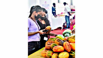 Three-day expo of agro farm products to begin