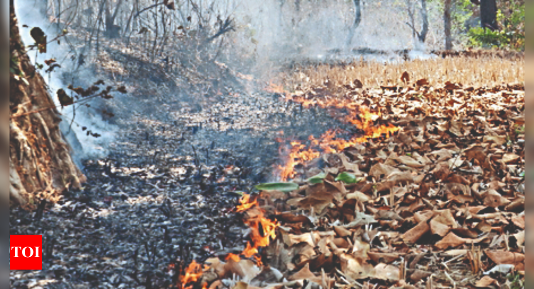 Summer season sees high number of fire cases in Jharkhand