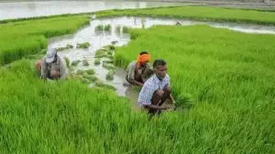 Natural Farming Training Maha Abhiyan to begin from rural level on May 1