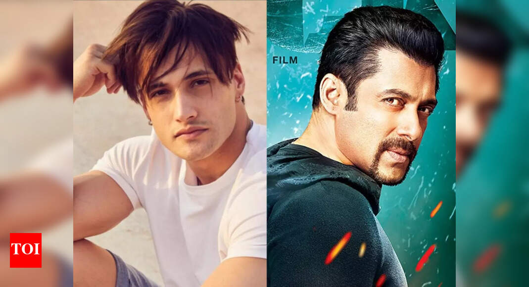 Bigg Boss 13 fame Asim Riaz in Salman Khan starrer Kick 2? Reports
