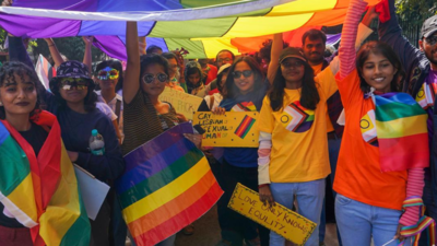 Over 400 parents urge SC to grant right to marry to their LGBTQIA+ children