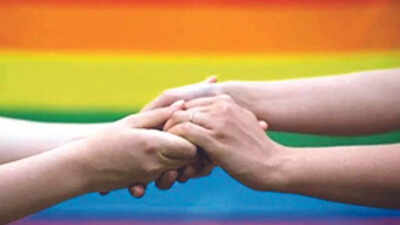 Same-sex marriage rights facing personal laws hurdle, says Supreme Court
