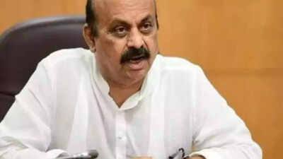 Will stall scrapping of Muslim quota till May 9: Karnataka to Supreme Court