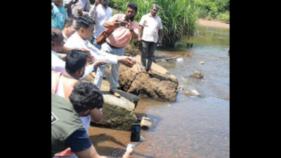 Govt to build Rs 350 crore barrage on Chapora to fix N Goa shortage