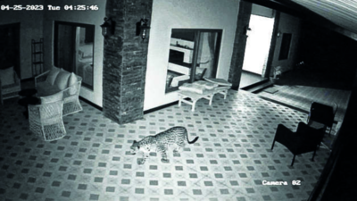 Leopard in house puts residents on alert in Tamil Nadu