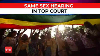 Marriage equality hearing: 'Leave it to Parliament,' State tells Supreme Court