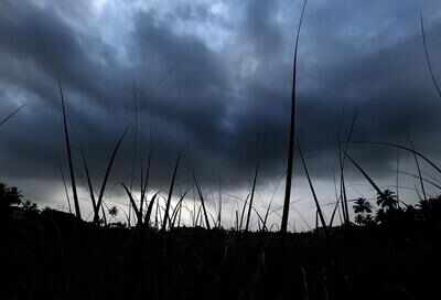 Max temp drops by 1C, light rain likely