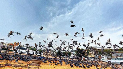 After 40.4°C, Ahmedabad gets a drizzle