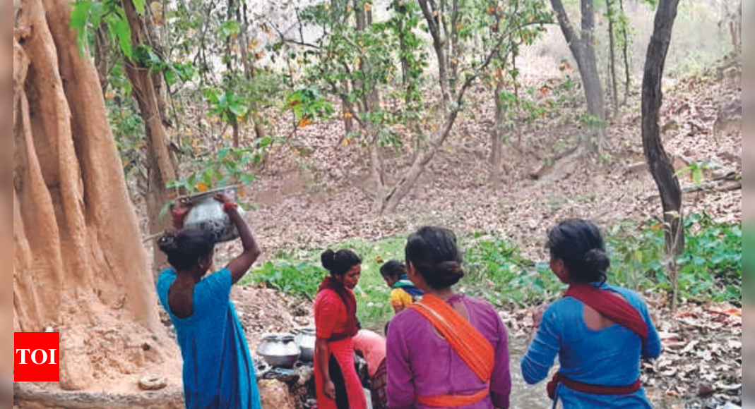 As water level depletes, Jharkhand's Hazaribagh villages face acute ...