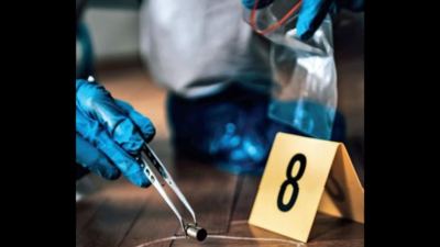 Unravelling mysteries: A sharp rise in forensic probes after rule tweak