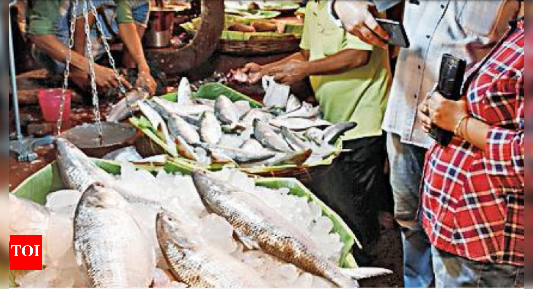 3,000 kg fish hit markets in Guwahati daily sans quality check