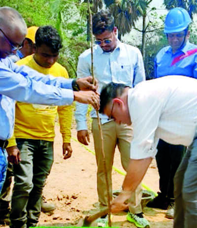 Bokaro hosts 2.6-acre Miyawaki forest