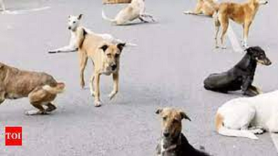 Vasco woman in Goa Medical College after attack by pack of dogs